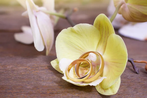 Sarı Orkide Üzerinde Altın Alyanslar Ahşap Masada Düğün Töreni Balayı — Stok fotoğraf
