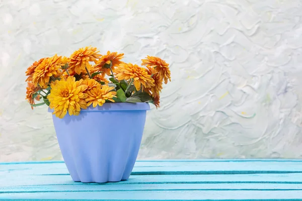 Orange Chrysanthemen Blauen Topf Auf Holzbrettern Gartenarbeit Urlaub Geburtstag Frauentag — Stockfoto