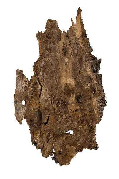 Kora Drzewa Tekstury Białym Odizolowanym Tle Widok Góry Naturalny Materiał — Zdjęcie stockowe