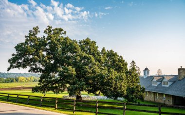Güneydoğu Minnesota 'da Rochester, Minnesota yakınlarındaki Eski Taş Ahır