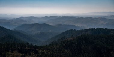 Güney Dakota Custer Eyalet Parkı 'ndaki Black Hills' in puslu manzarası