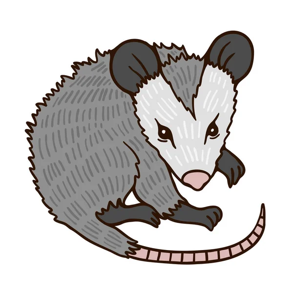 Funny Possum Lying White Background Cute Cartoon Character Animations Funny — 스톡 벡터