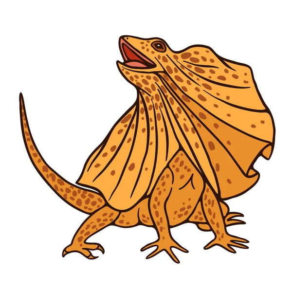 Majestic Lizard Frill Neck Standing White Background Cartoon Character Animation — Vetor de Stock