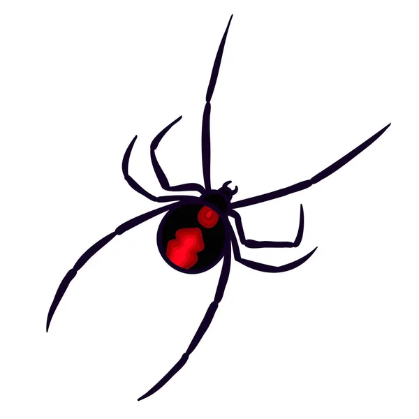 Red Back Spider Aussie Fauna Color Vector Carácter Figura Vista — Vector de stock