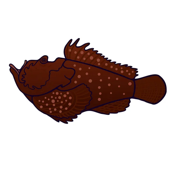 石魚オージー海洋動物の色ベクトル文字 サイドビュー図 白の完全な体の海の生息地 シンプルな漫画風イラスト — ストックベクタ