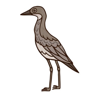 Bush stone curlew Aussie bird color vector character. Side view figure. Full body wild animal on white. Simple cartoon style illustration clipart