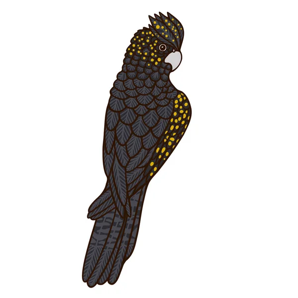 Cacatoès Noir Aussie Oiseau Couleur Vecteur Caractère Figure Vue Arrière — Image vectorielle