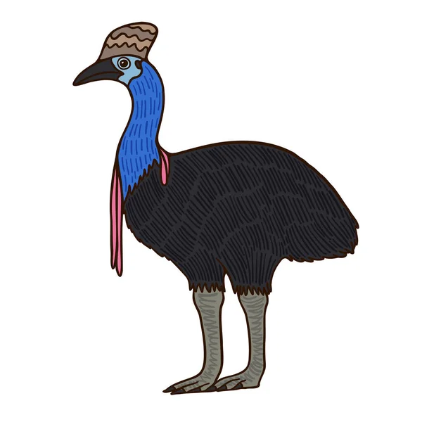 Cassowary Aussie Bird Color Vector Character Side View Standing Figure — Stock Vector