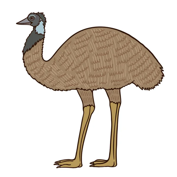 Emu Aussie Χρώμα Πουλί Διάνυσμα Χαρακτήρα Πλευρική Όψη Όρθια Φιγούρα — Διανυσματικό Αρχείο