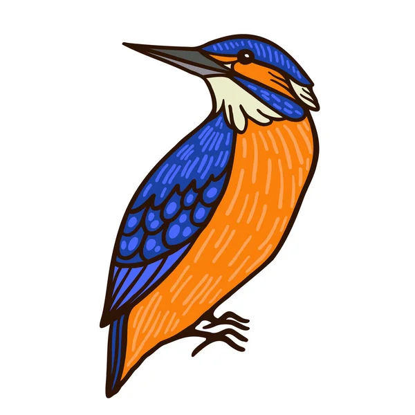 Rey Pescador Aussie Pájaro Color Vector Carácter Figura Vista Lateral — Archivo Imágenes Vectoriales