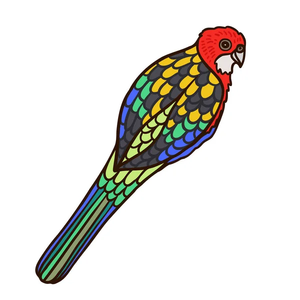 Rosella Aussie鸟类生物的颜色矢量字符 后视镜 全身而退的澳大利亚白鸟简单的卡通风格图解 — 图库矢量图片