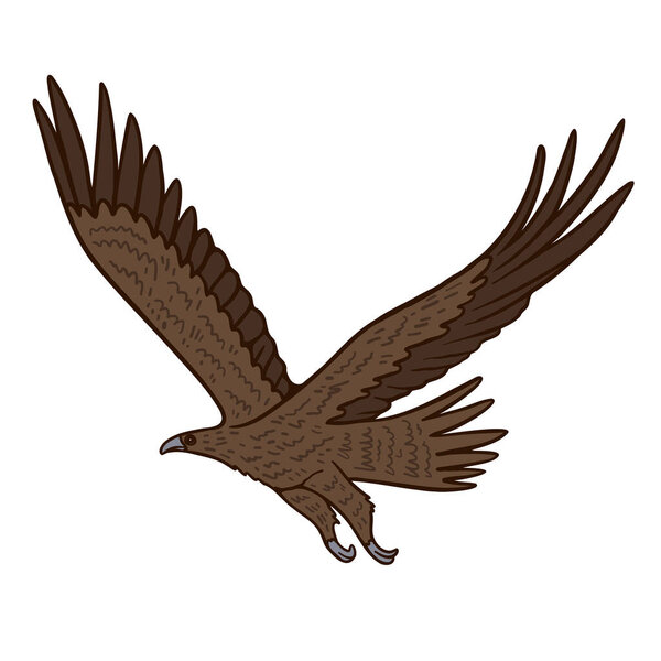 Wedge tailed eagle Aussie predator color vector character. Side view figure. Full body bird on white. Simple cartoon style illustration