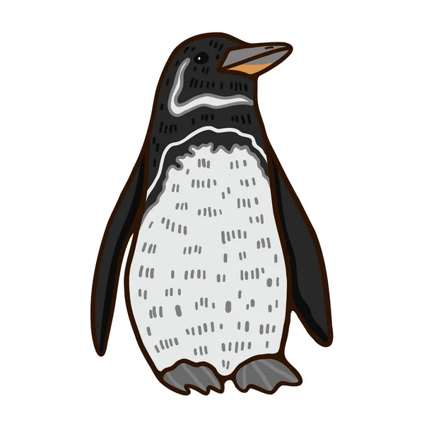 Livre Rouge Galapagos Pingouin Vit Dans Les Zones Côtières Niche — Image vectorielle