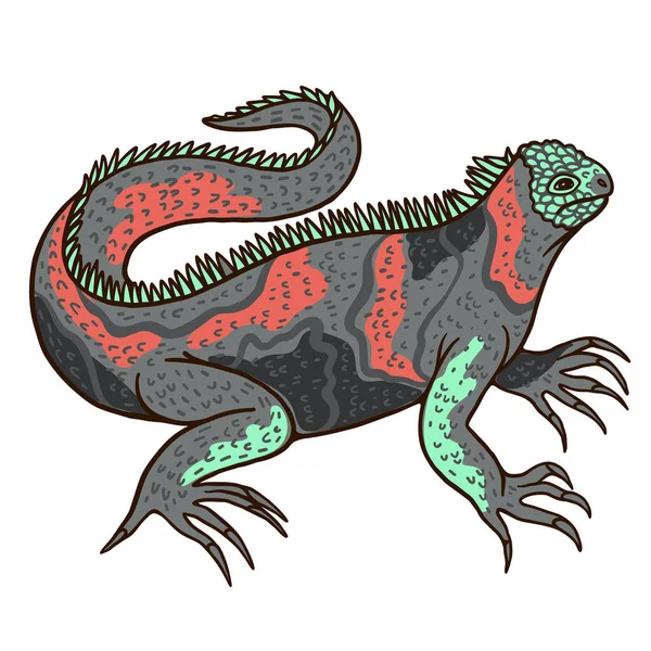 Livre Rouge Reptile Iguane Marin Herbivores Manger Des Algues Marines — Image vectorielle