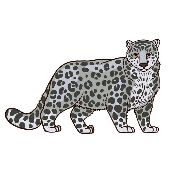 Libro Rojo Leopardo Nieve Con Piernas Poderosas Los Depredadores Saltadores — Archivo Imágenes Vectoriales