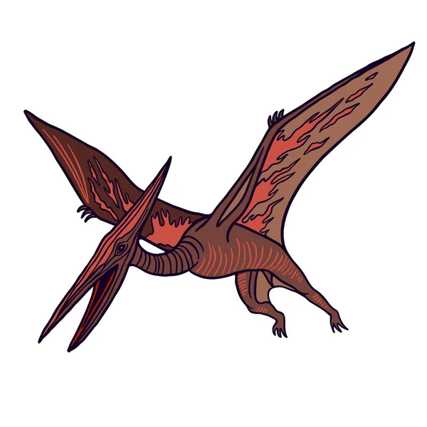 Vector Kleurenillustratie Van Uitgestorven Geslacht Van Pterosaurussen Voor Educatieve Boeken — Stockvector