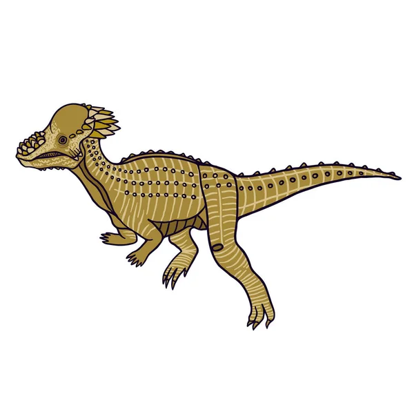 子供のための教育ウェブサイト上のイラストのためのPachecephalosaurus 草食性オルニチアン化石恐竜の漫画風イラスト ストックイラスト