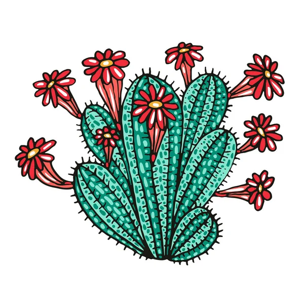 Cacto Com Flores Vermelhas Objeto Vetorial Cor Plana Planta Exótica — Vetor de Stock