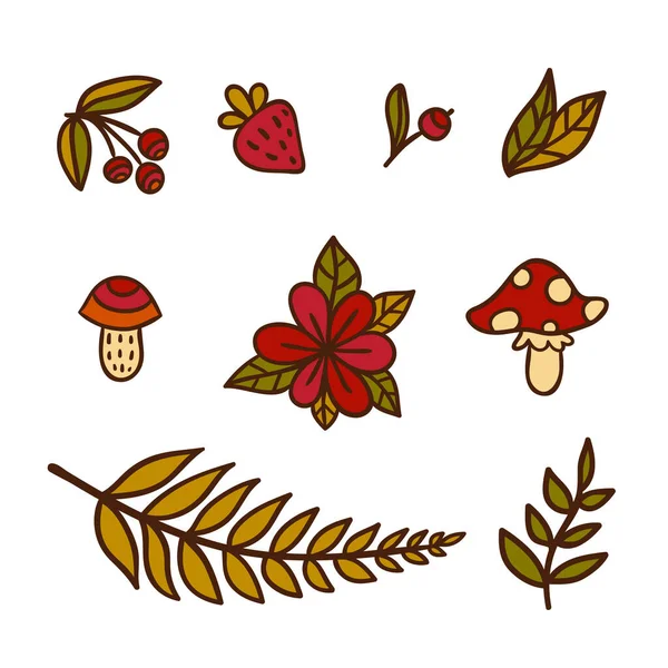 野生植物和蘑菇的颜色图标设置在白色背景上 叶子和可食用物品手绘平面矢量插图 填充行图像 — 图库矢量图片