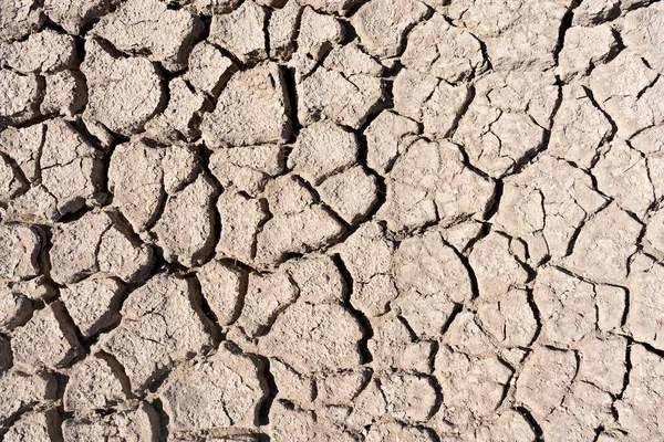 Close View Cracked Dry Surface Mud — Stock Photo, Image