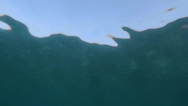 Tło Wideo Powierzchni Oceanu Spokojnej Wody Zapisane Bellow — Wideo stockowe