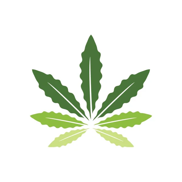 Logo Foglia Cannabis Disegni Ispirazione Vettoriali Stock Royalty Free