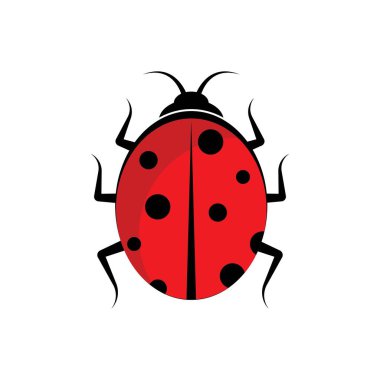 Uğur böceği. Böcek uğur böceği, vektör illüstrasyon tasarımı