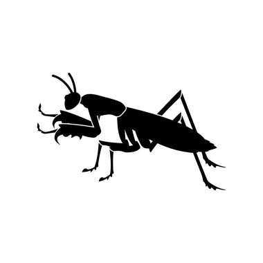 Beyaz arkaplanda izole edilmiş peygamber devesi vektörü.