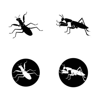 Beyaz arkaplanda izole edilmiş peygamber devesi vektörü.