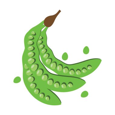 parkia speciosa aka petai or stinky bean logo vector design clipart