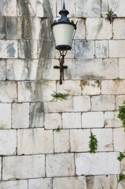 Background old wall. Bricks and green plants 