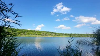 Göl ve ormanlı güzel bir manzara.