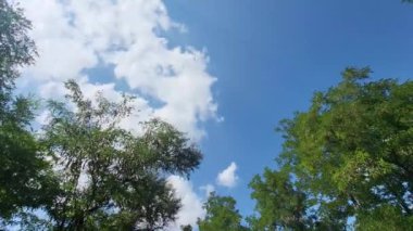 Mavi Gökyüzü ve Bulutlar