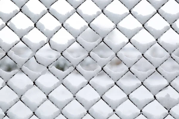 Frozen Metal Fence Covered Snow — Stock Photo, Image