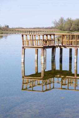  Nehirde korkuluklu ahşap köprü. Daimiel Ulusal Park Tabloları. Ciudad Real. İspanya.