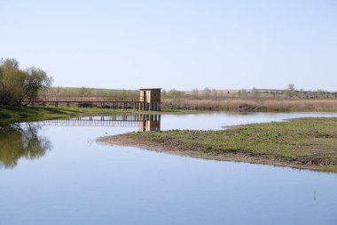 Tablas de Daimiel Ulusal Parkı 'ndaki tahta kuş gözlemevi, Ciudad Real (İspanya))