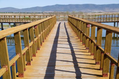  Nehirde korkuluklu ahşap köprü. Daimiel Ulusal Park Tabloları. Ciudad Real. İspanya.