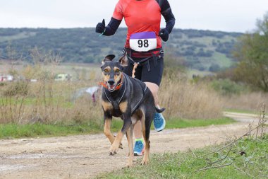 Köpek ve kadın popüler bir kanikros yarışına katılıyor.