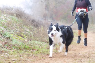 Köpek ve kadın sisli bir günde popüler bir kanikros yarışına katılıyor.