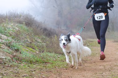 Köpek ve kadın sisli bir günde popüler bir kanikros yarışına katılıyor.