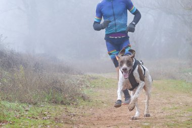 Dog and man taking part in a popular canicross race on a foggy day clipart