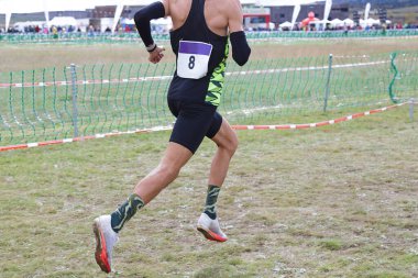 Popüler bir kros yarışında erkek bir atlet