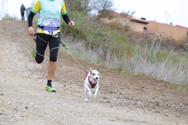 Köpek ve insan popüler bir kanikros yarışına katılıyor.