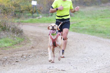 Köpek ve insan popüler bir kanikros yarışına katılıyor.