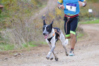 Köpek ve insan popüler bir kanikros yarışına katılıyor.