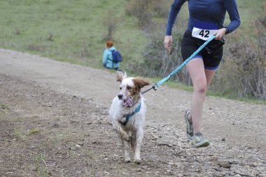 Köpek ve kadın popüler bir kanikros yarışına katılıyor.