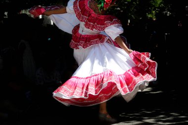 Dans eden ve Meksika 'nın geleneksel halk kostümlerinden birini giyen bir kadın.