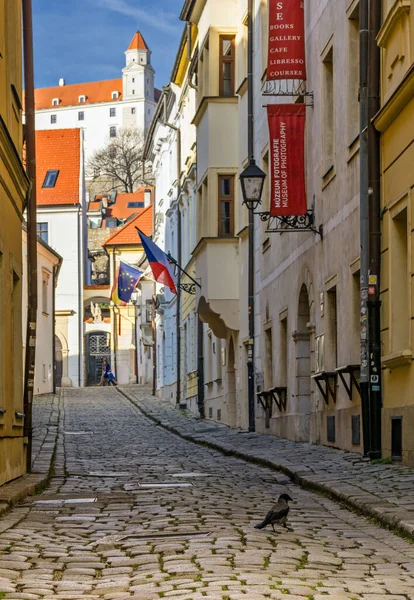 Prepostska Street Centraal Europees Huis Van Fotografie Bratislava Kasteel Slowakije — Stockfoto