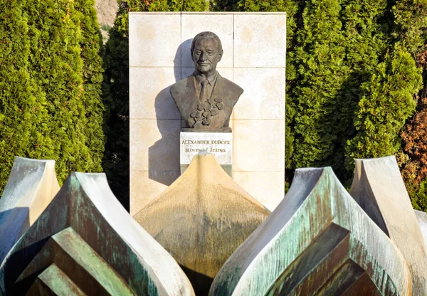 Monumento Politico Alexander Dubcek Bratislava Slovacchia — Foto Stock