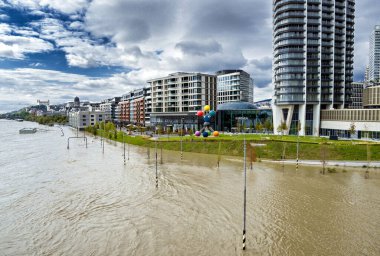 Bratislava 'da 2024 yılında Tuna Nehri' ni sel bastı, Slovakya.